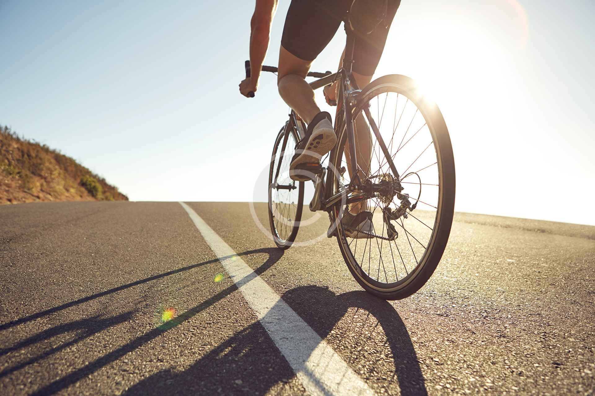 Quick Bicycle Rentals Pedals And Wheels